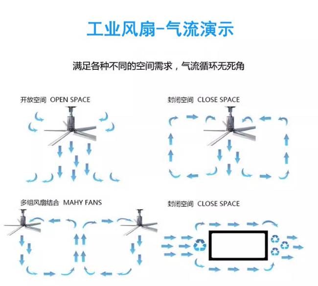 1586837726953765.jpg 20251002215637.png